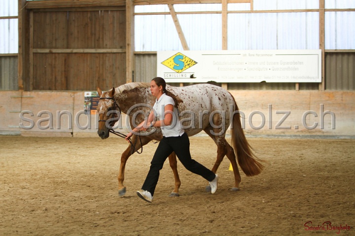 24-ApHC HIH_015.jpg